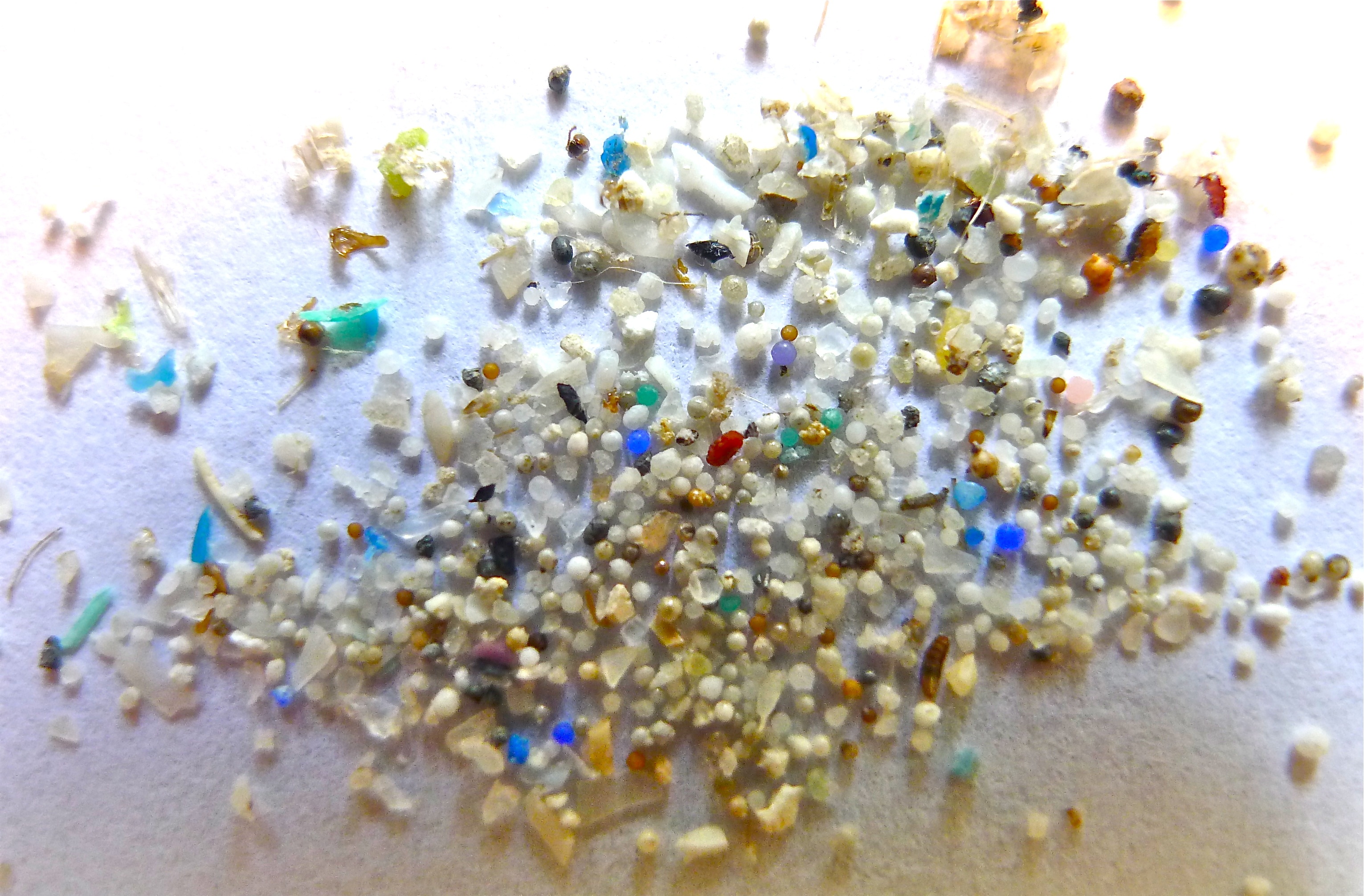 A collection of microplastic crumbs