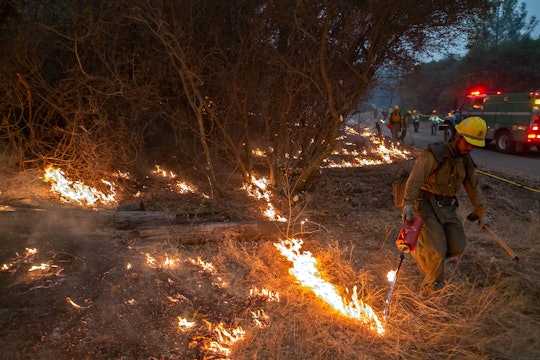 The Springville Hotshots brought fire down a dozer line and tied into Road 81 just north of the Mammoth Pools Trailer Park in the evening of September 10, 2020 as efforts continue to contain the Creek Fire on the Sierra National Forest.