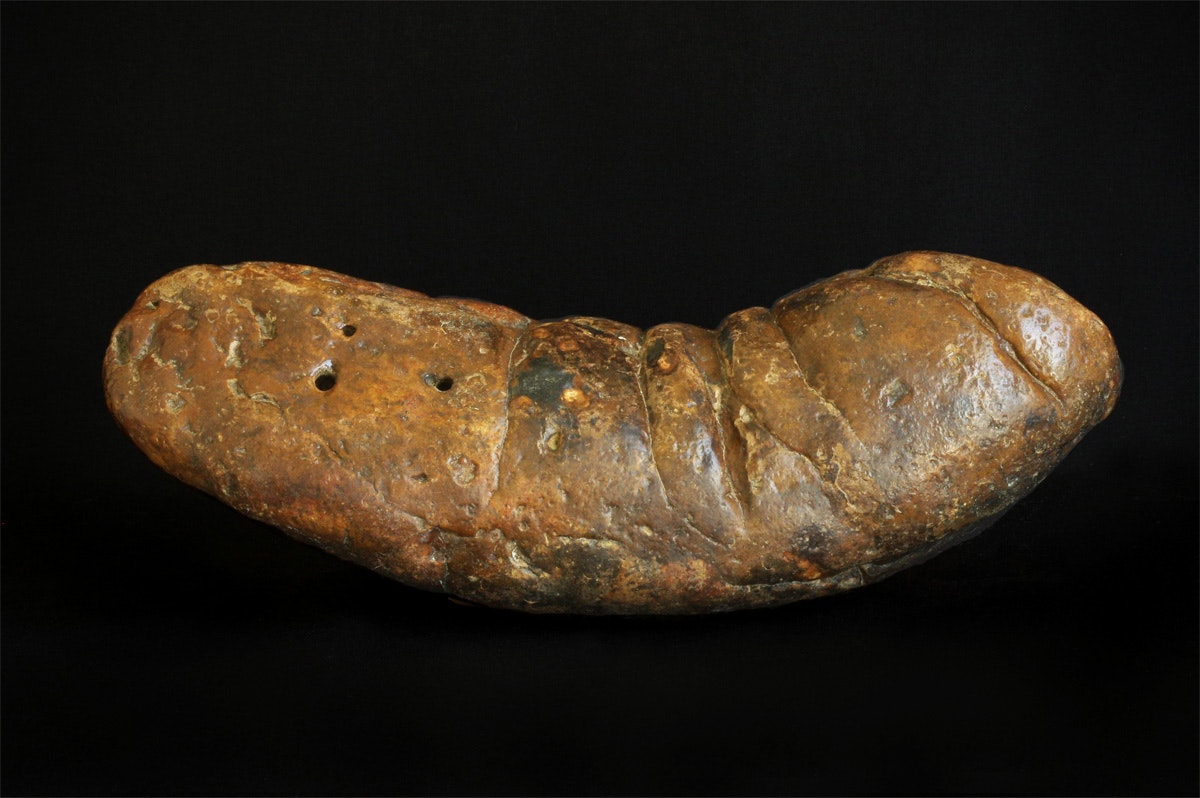 Fossilized dinosaur feces, a coprolite, nicknamed "The Kraken"