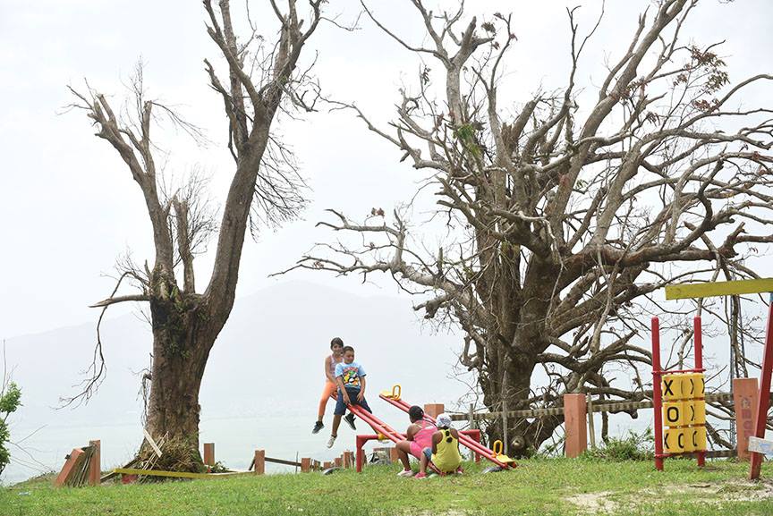 Children in Puerto Rico playing on a playground surrounded by trees broken by Hurricane Maria.