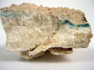 A piece of gypsum with a green streak characteristic of cyanobacteria.
