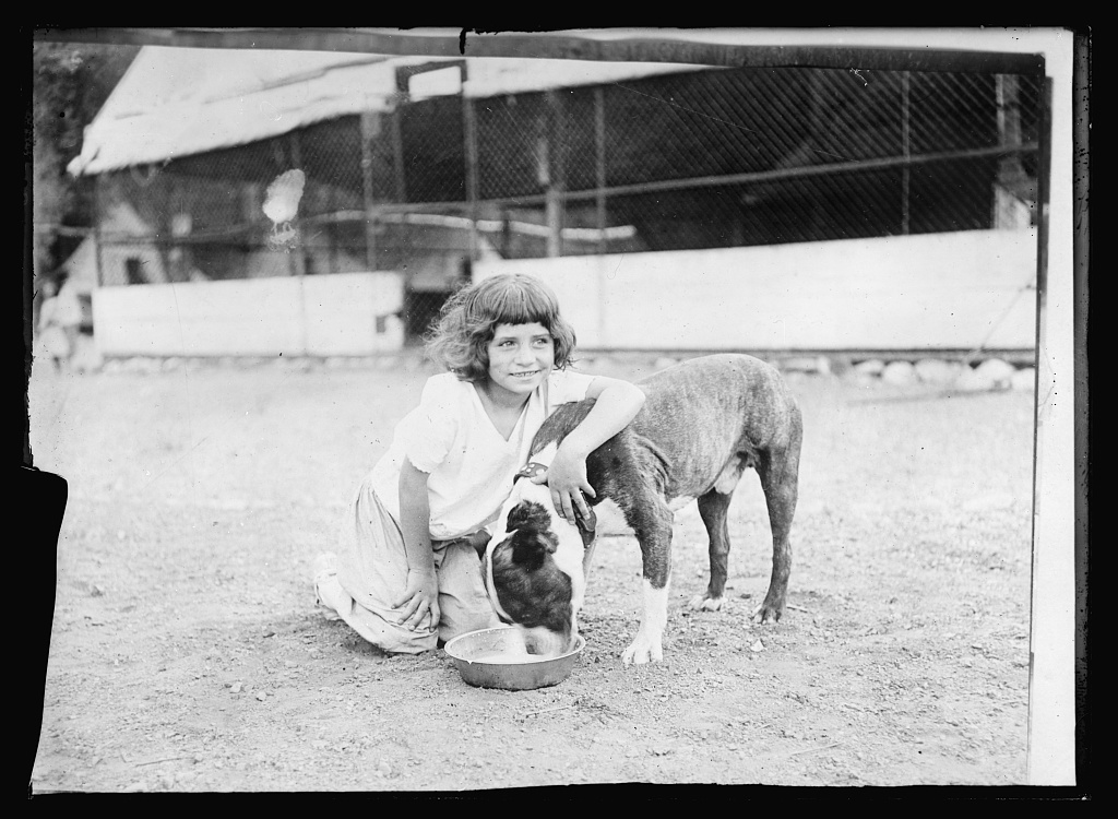 A small camper, age 8-10, playing with a dog