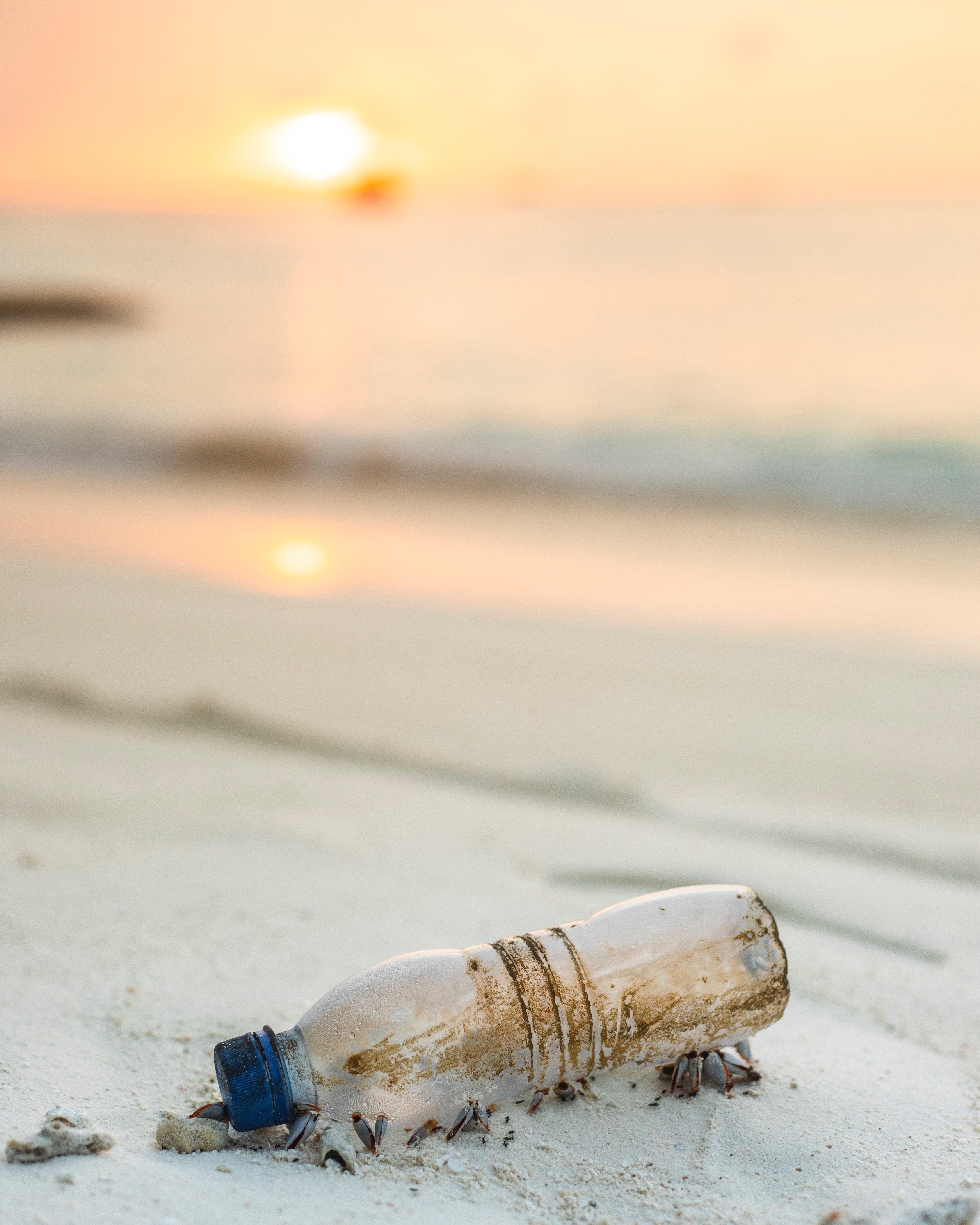 Plastic bottle beach