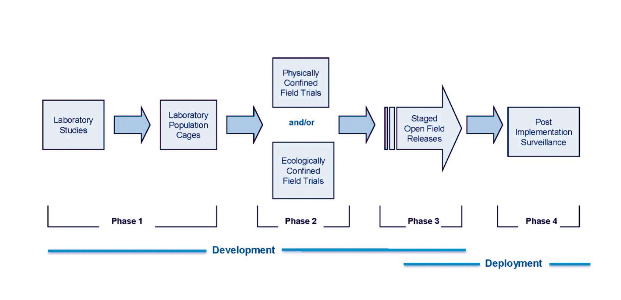 A workflow describing proposed stages for developing, testing, and releasing genetically modified mosquitos