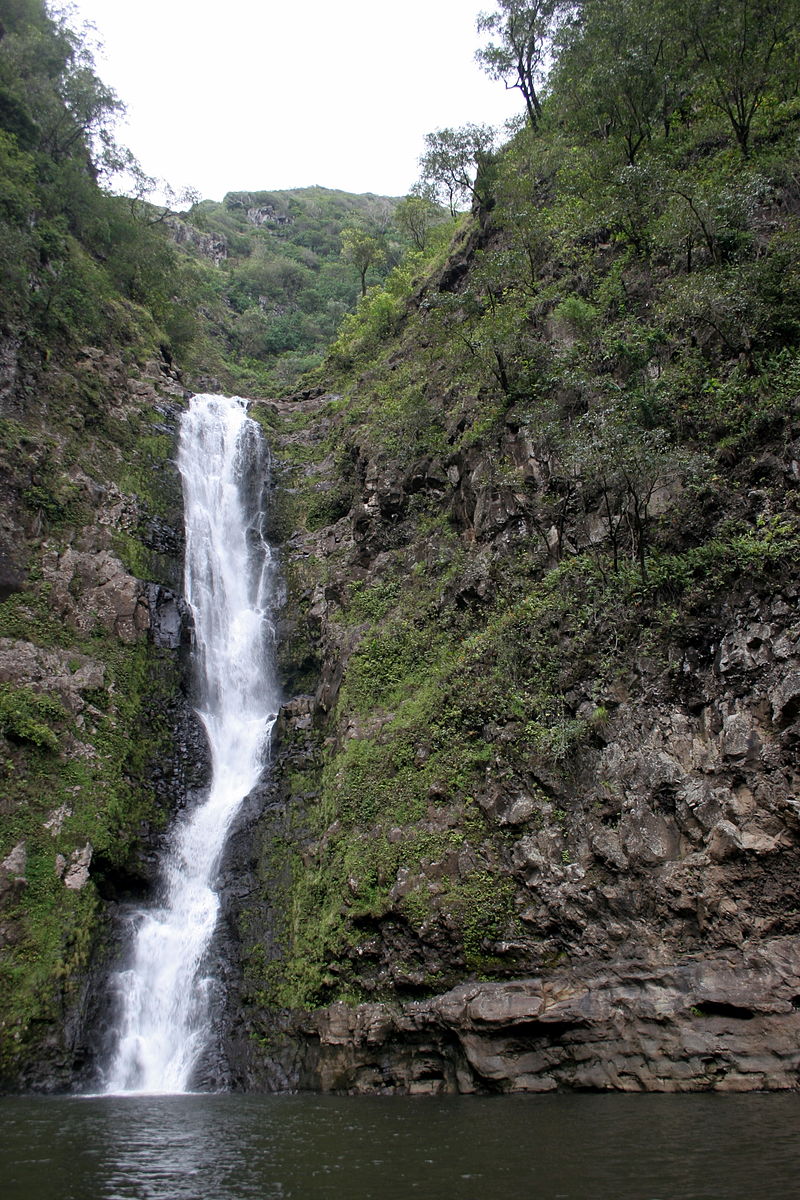 fish travel up waterfall