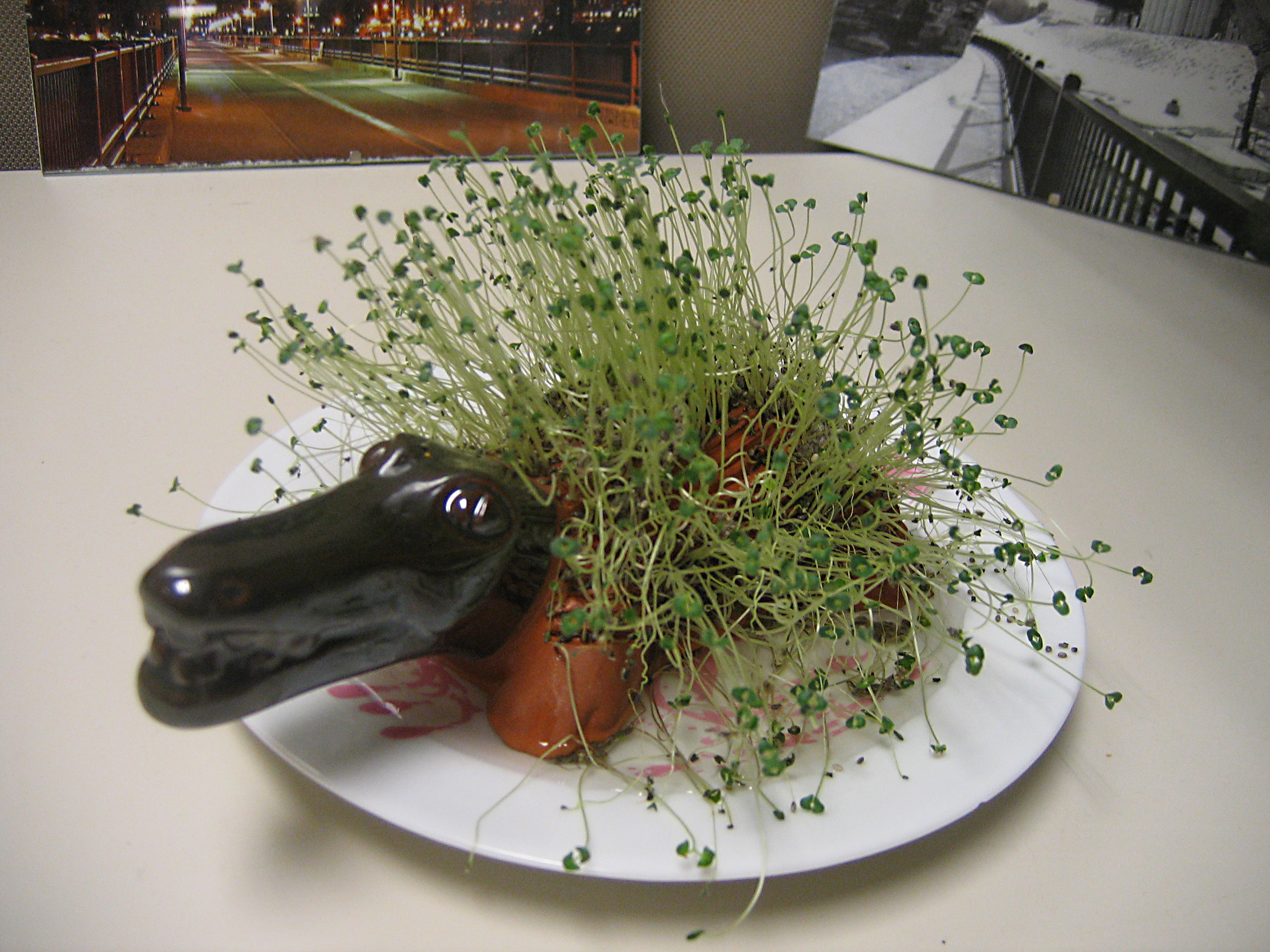A chia pet shaped like an alligator, with sprouts growing all over.