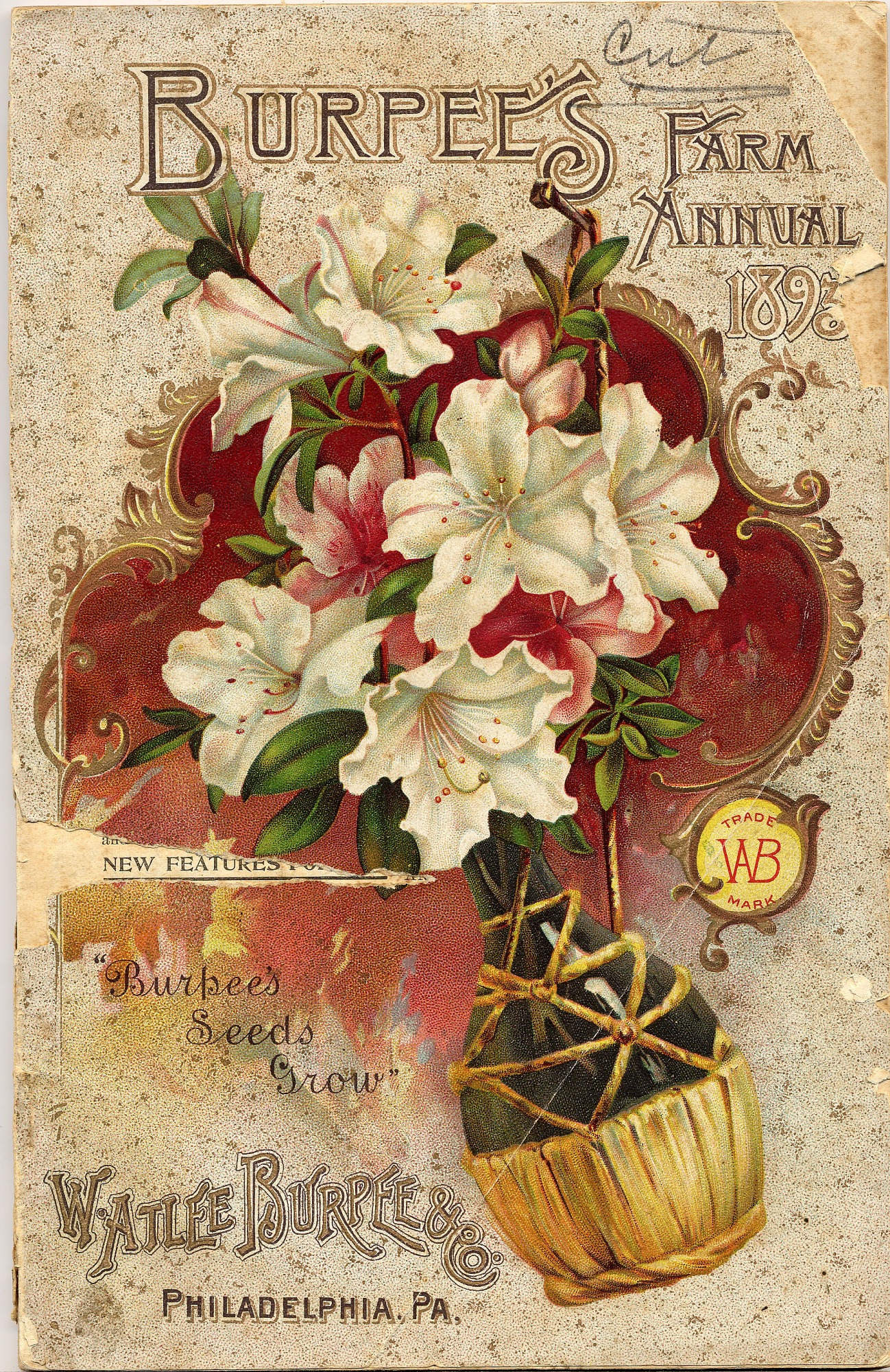 seed catalog image with flowers