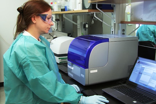 A person performing a genome sequencing to compare the genetic sequences of viruses.
