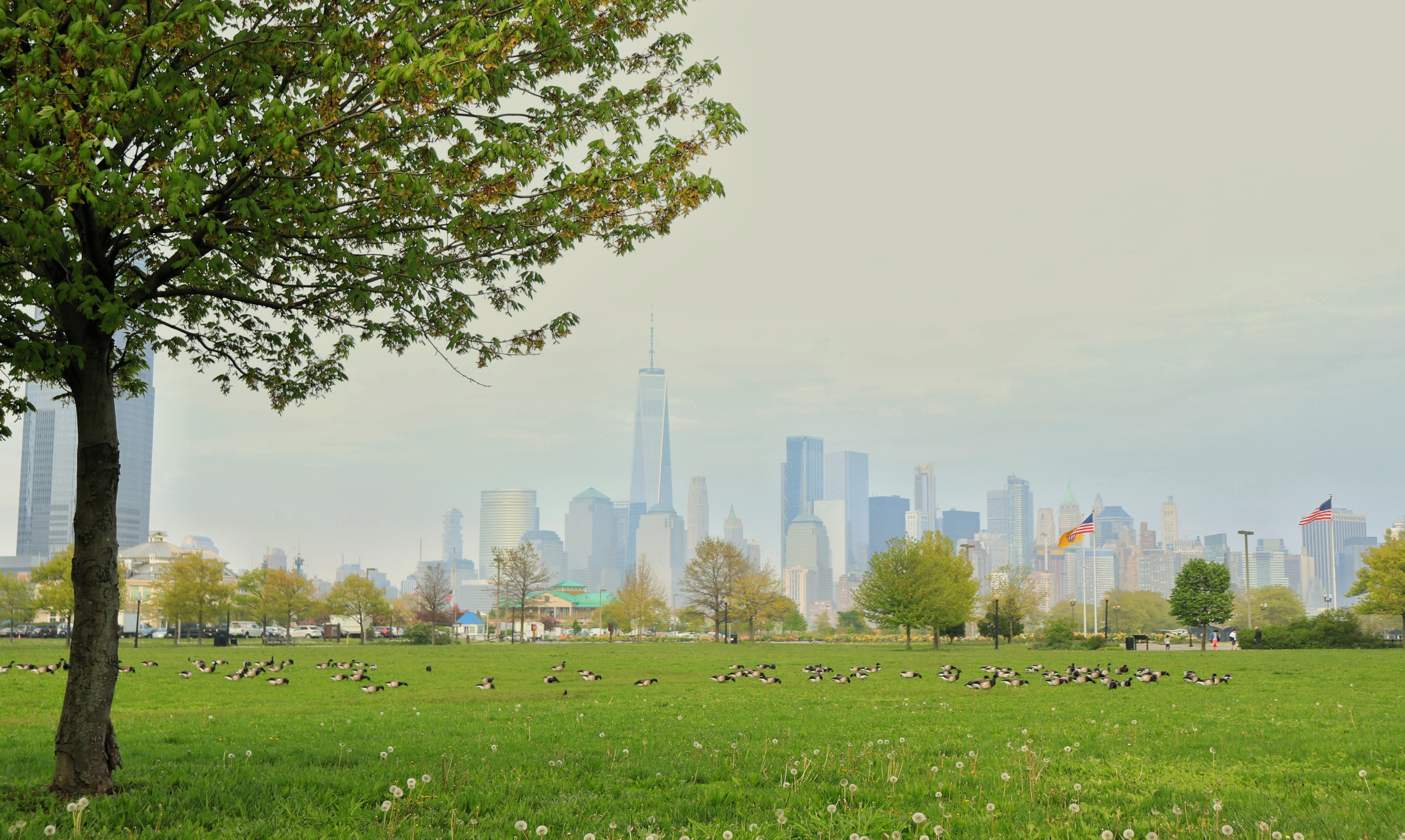 a park with a city skyline behind it