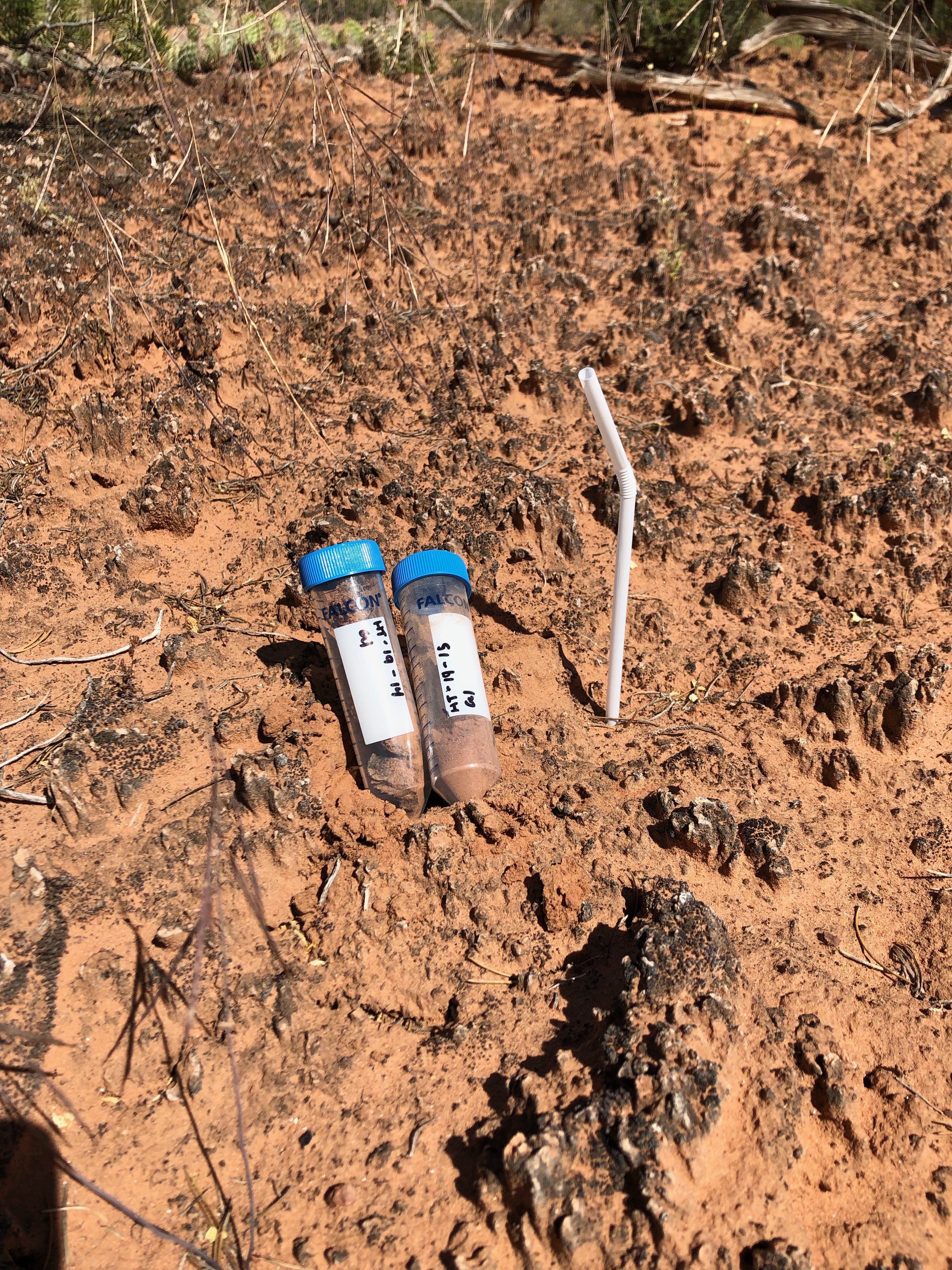 Two test tubes sticking out of the sand