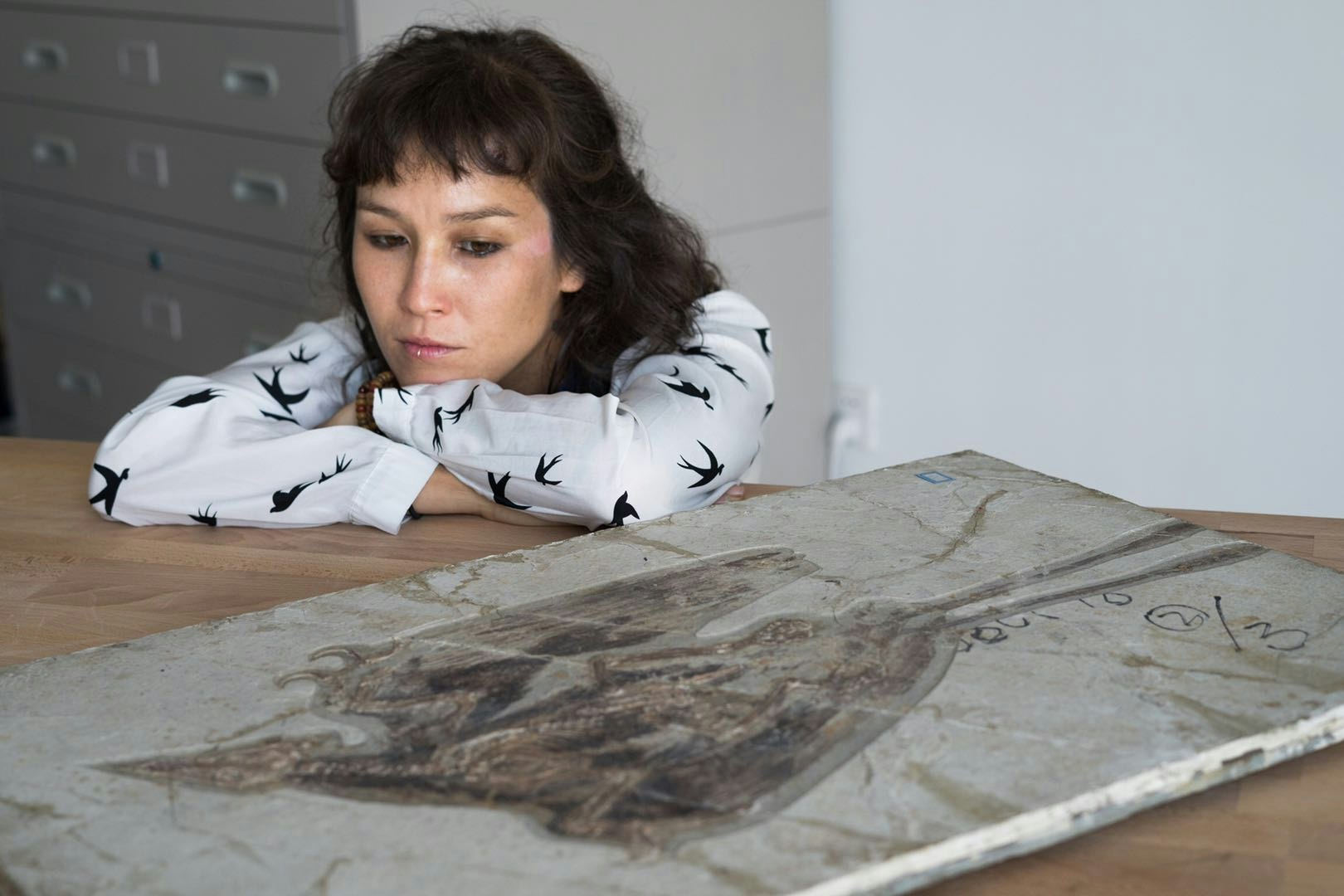 Paleontologist Jingmai O'Connor looking at a fossil of a dinosaur