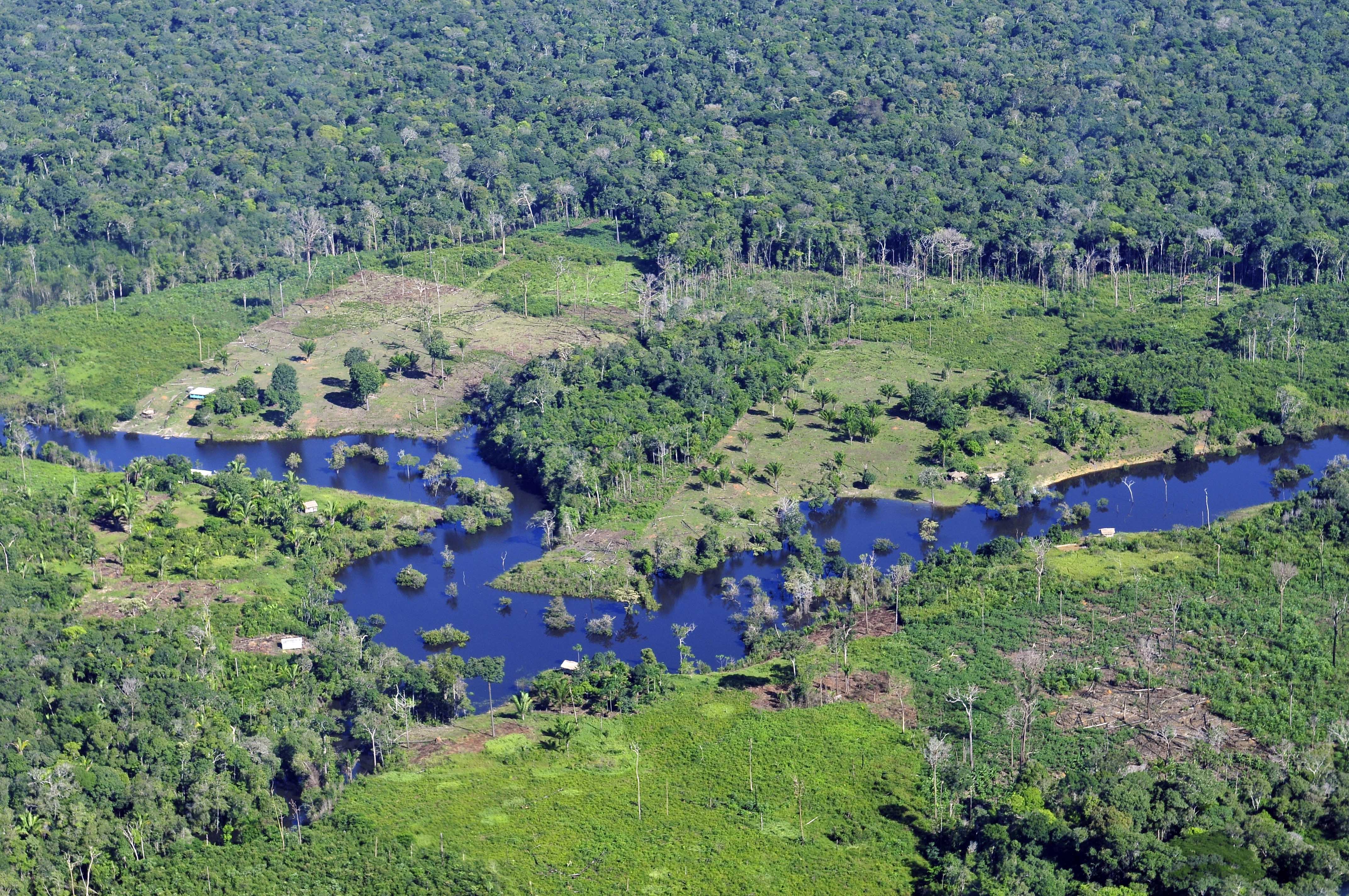 Tropical rainforests may be near a tipping point beyond our control