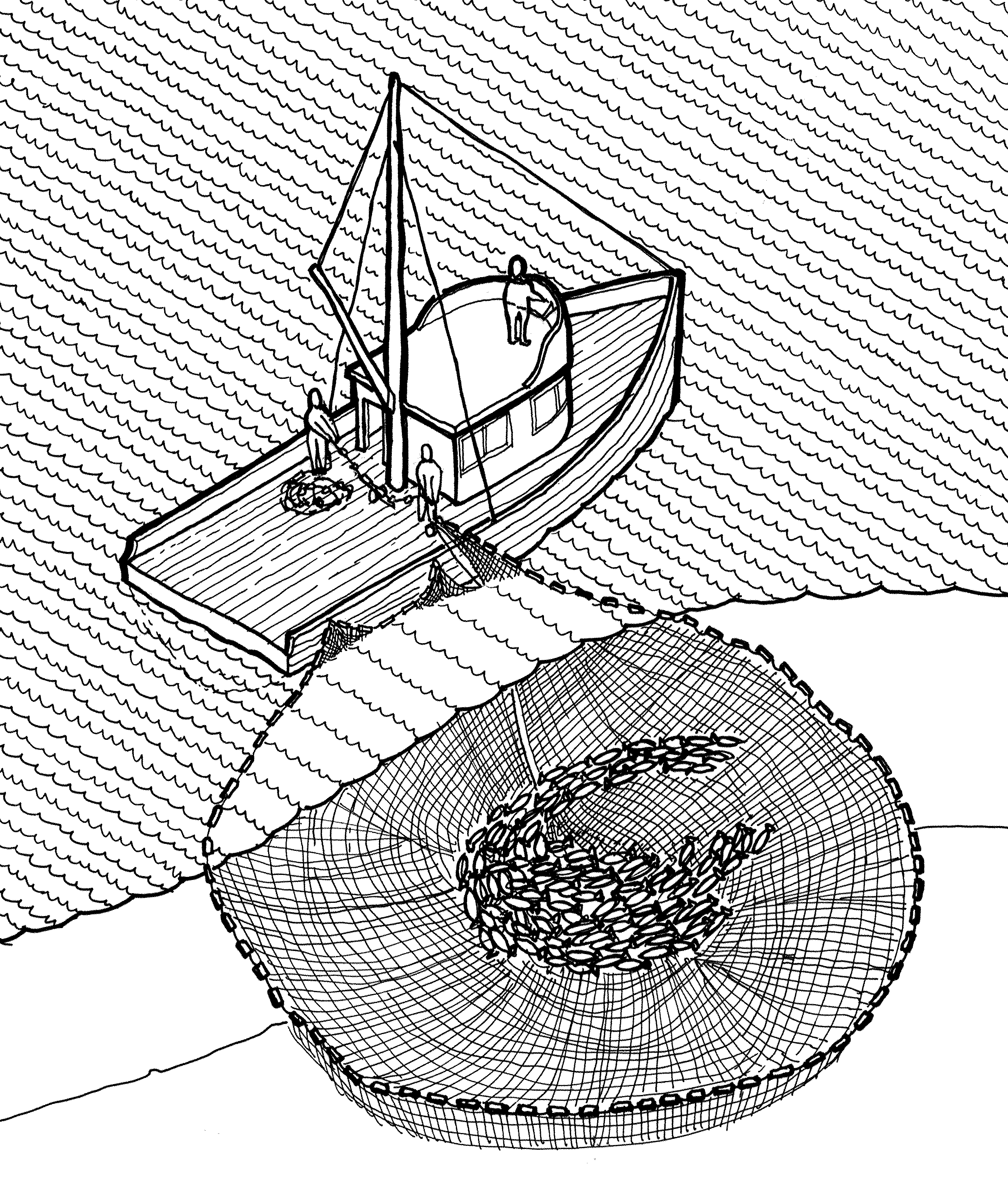 An illustration of the purse seine fishing technique, which casting a net in front of the path of a school of fish and then closing the bottom after they've entered.