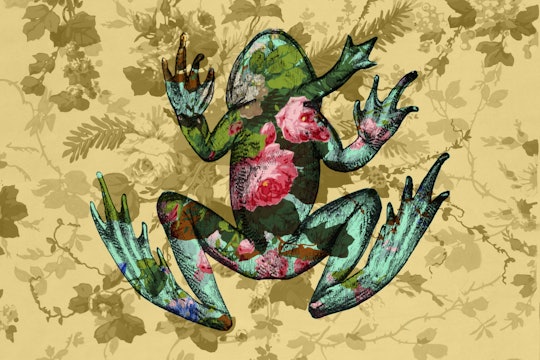 Flower Mutations frog overlaid on top of a yellow background