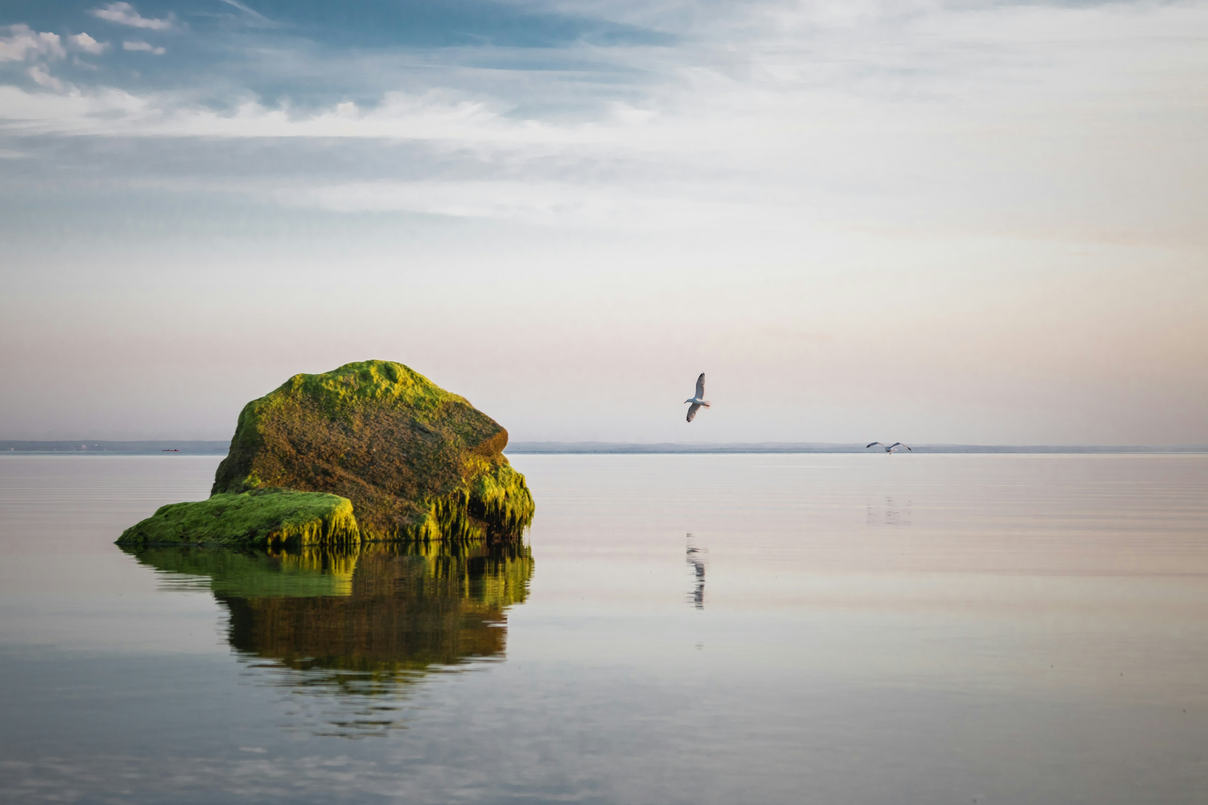 a bird flying to a small rock island