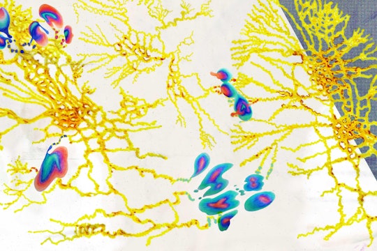 Illustration by Karen Ingram