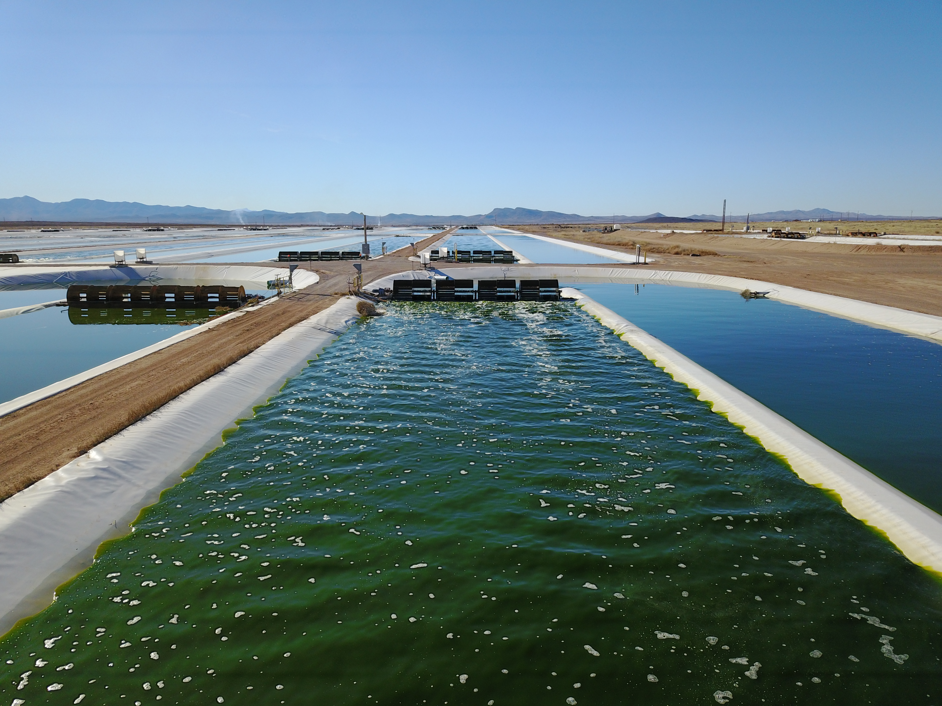 A view of large pools of water used to grow Nannochloropsis, an edible algae. 