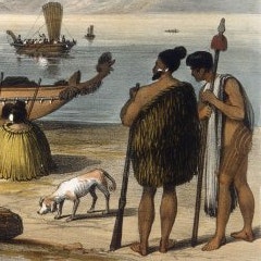 Ancient Dog Dna Reveals How Humans First Settled New Zealand
