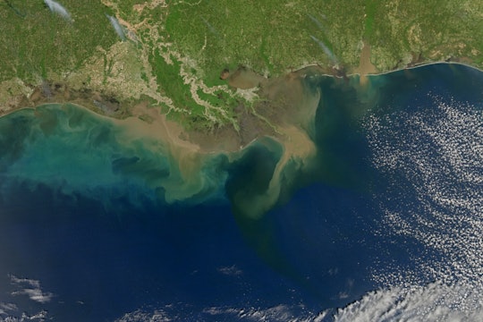 The Gulf of Mexico from space, showing sediment running into the ocean and different colors of water The Gulf of Mexico from space, showing sediment running into the ocean and different colors of water