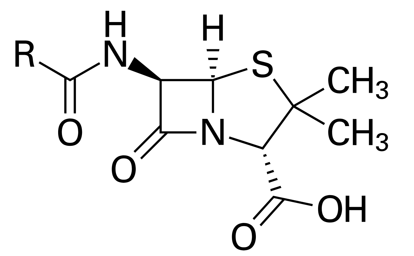 The chemical structure of penicillin, with the first discovered beta-lactam ring.