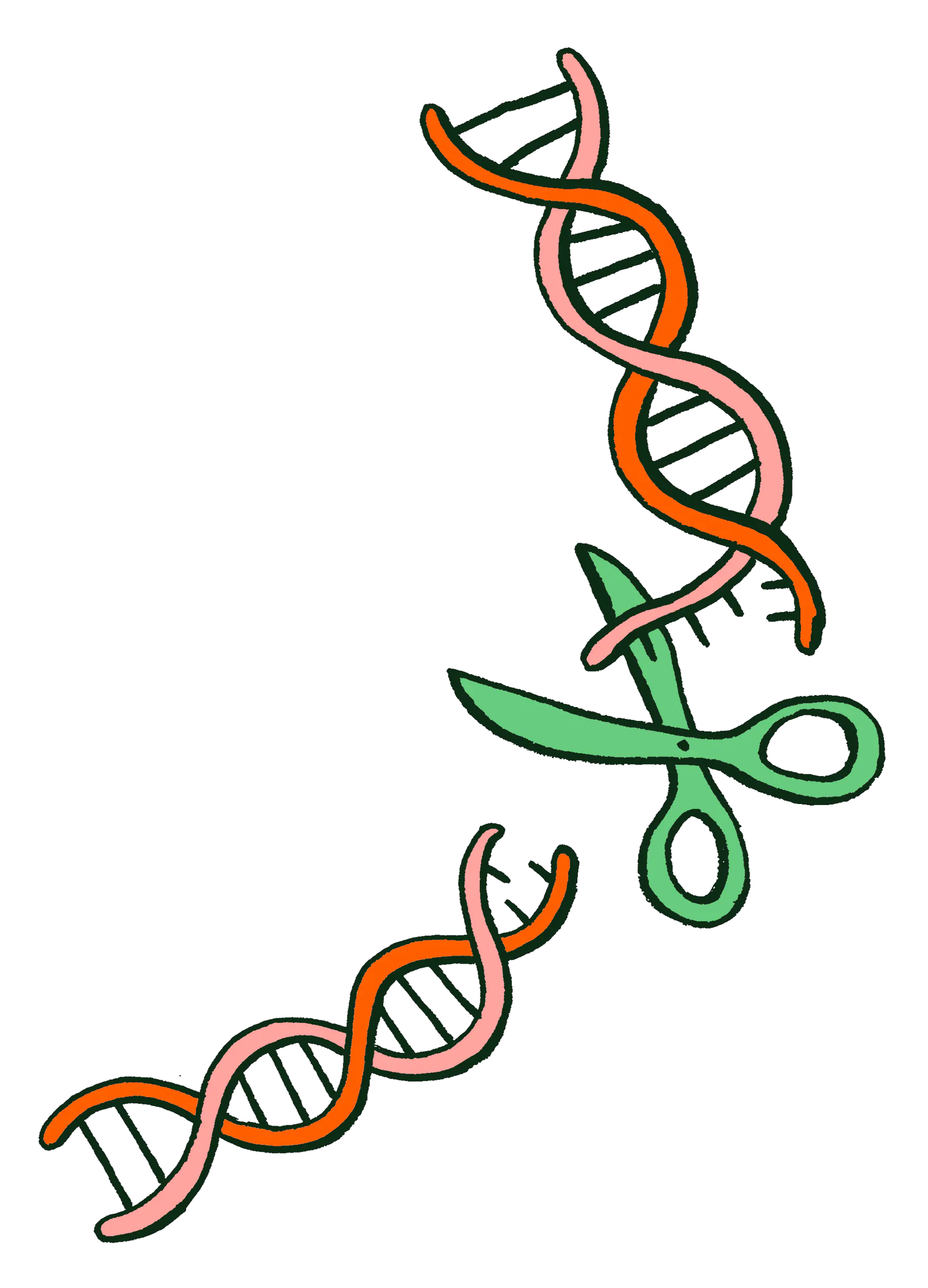 directed evolution gets around crispr