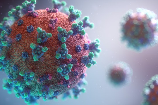 a visualization of the covid19 virus