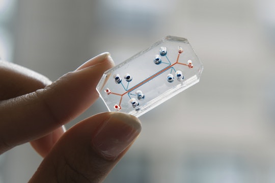Lung-on-a-Chip