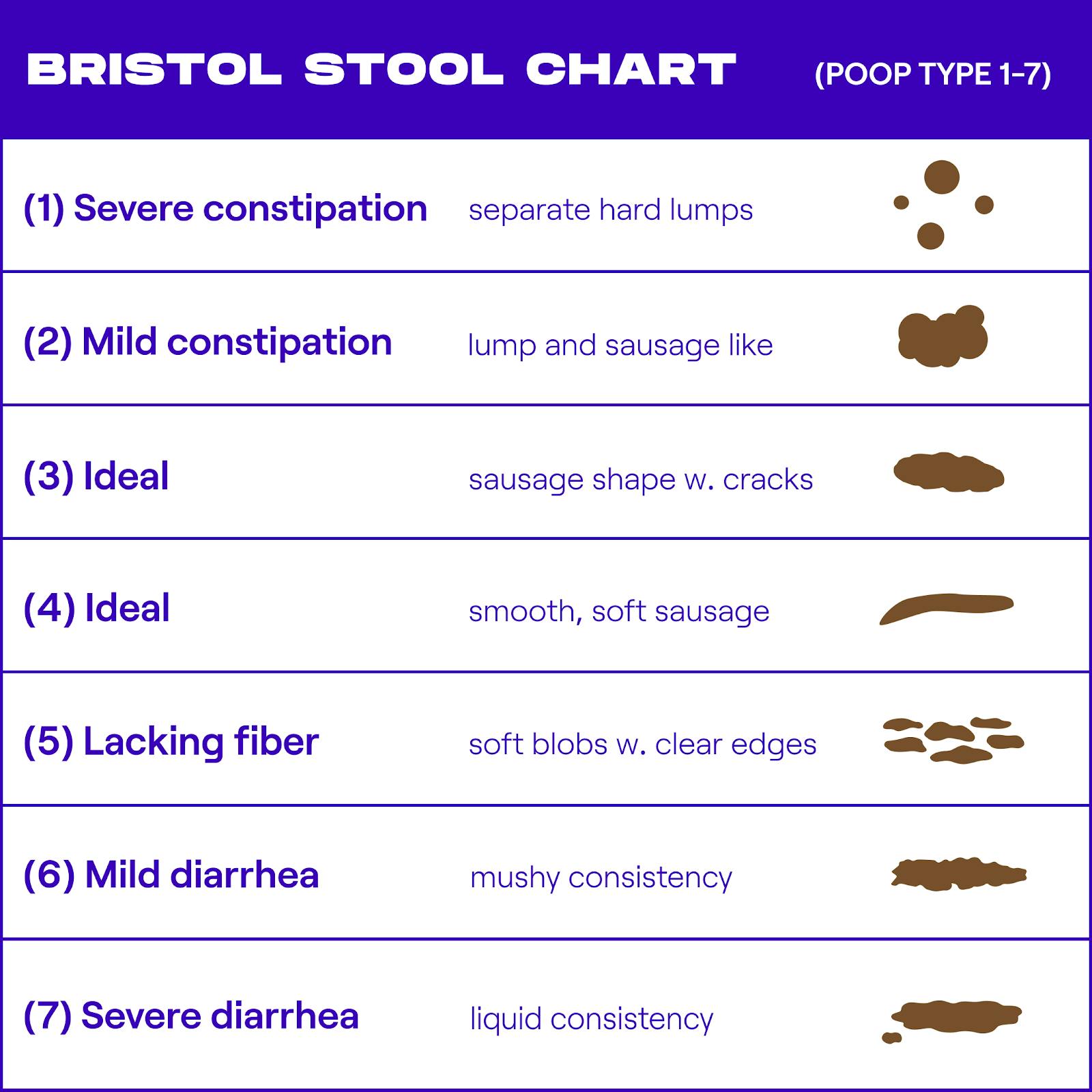 Bristol Scale of feces