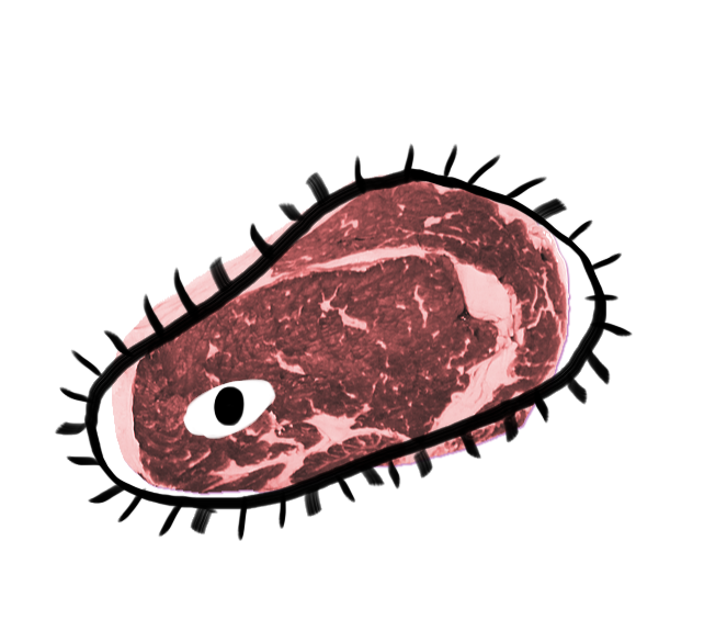 A crude drawing of a cell is overlaid upon a cut of prime beef