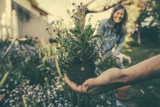 gardening a person holding a plant in the foreground with a person smiling in the background
