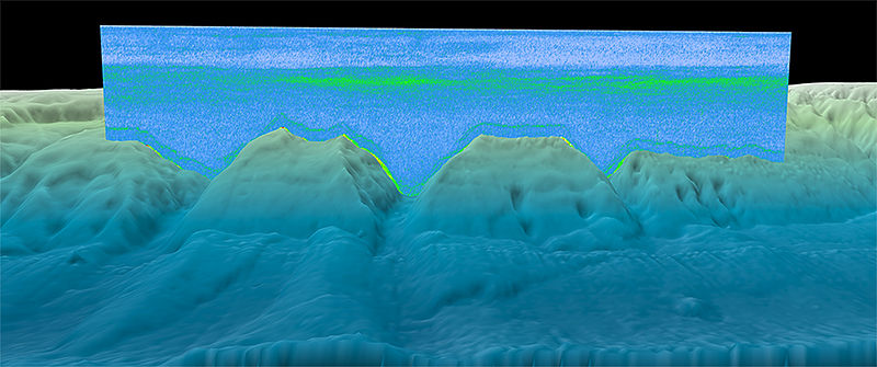 Image of a sonar scan taken in the North Atlantic. The backscattered signal (green) above the bottom is likely the deep scattering layer. 
