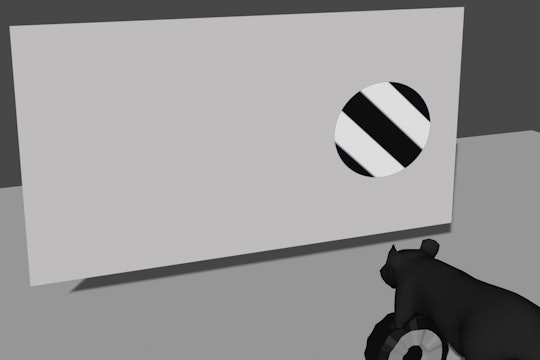 illustration of IBL mouse experiment a mouse looking at a black and white striped object against a gray background