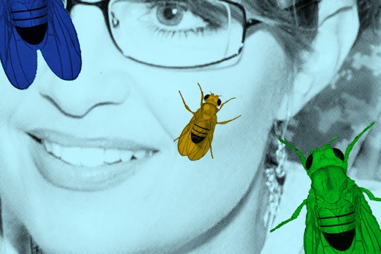 The Monday Minute - Getting Rid of Fruit Flies & Other Things - Jenny On  the Spot