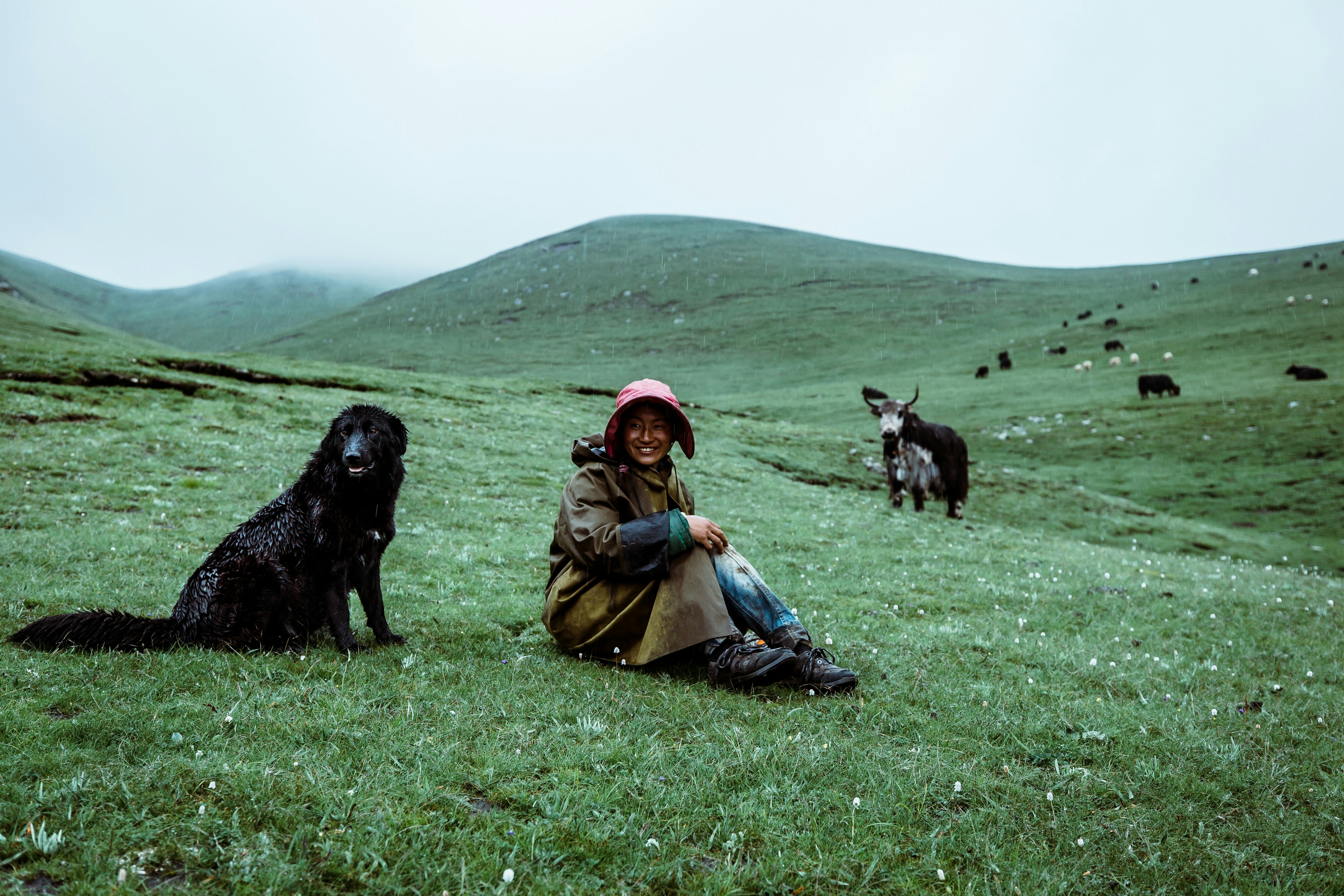 man and a dog sitting in a field