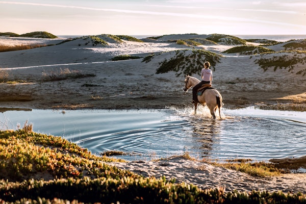 a person riding horseback across a river in a snowy grassy environment