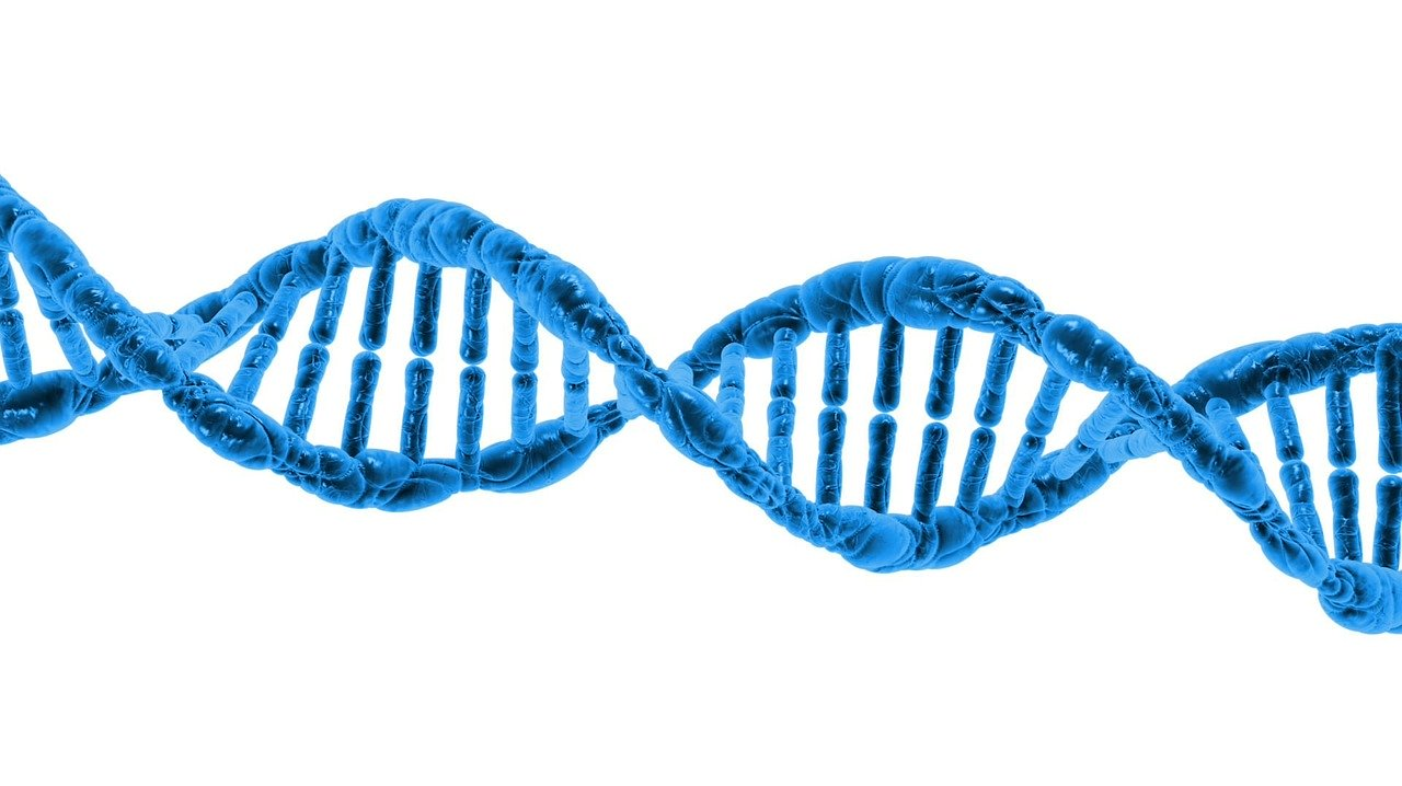 Rendering of DNA strands