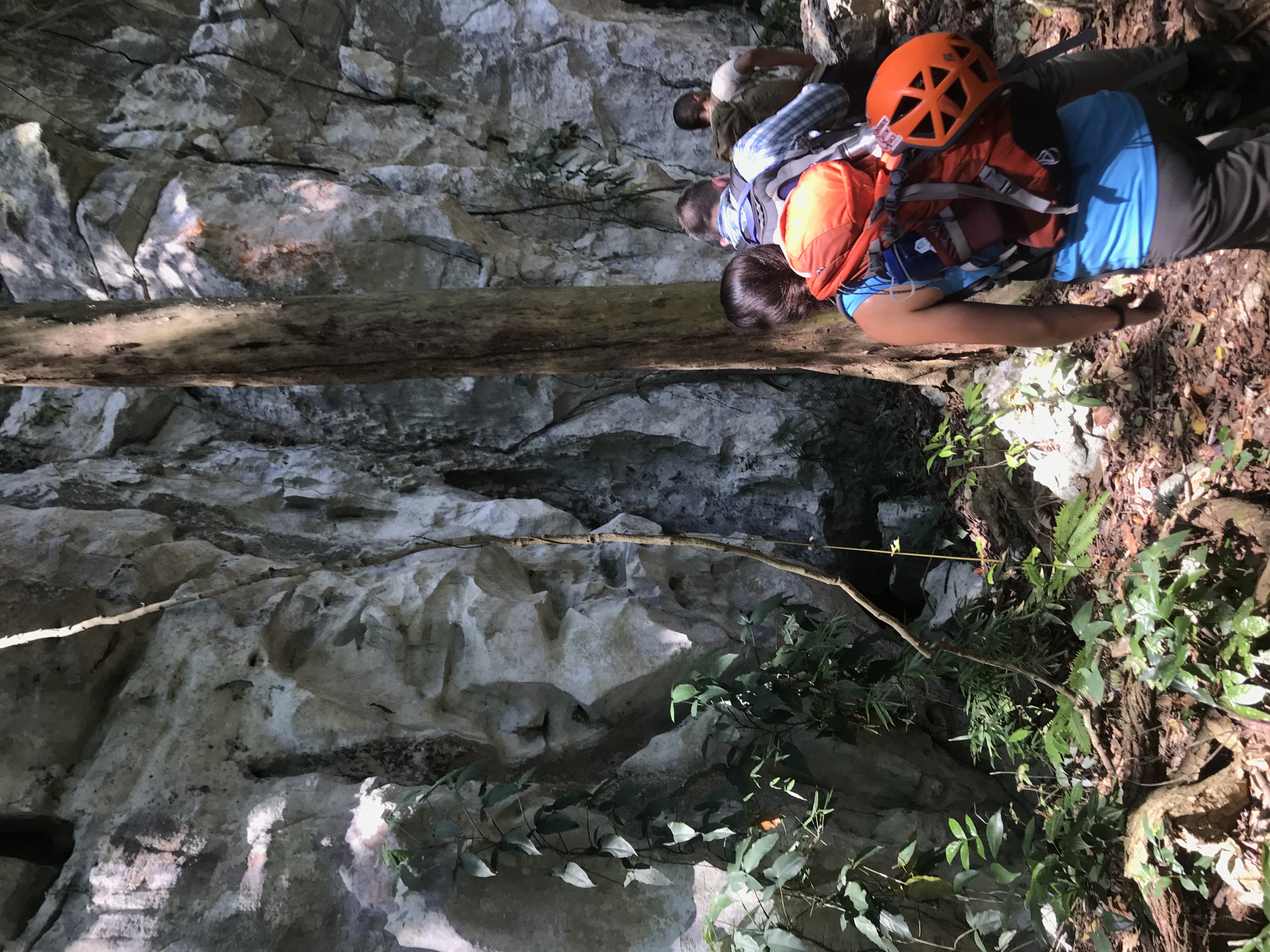 Leila Donn and other researchers walk past a rock wall, maybe near a cave.