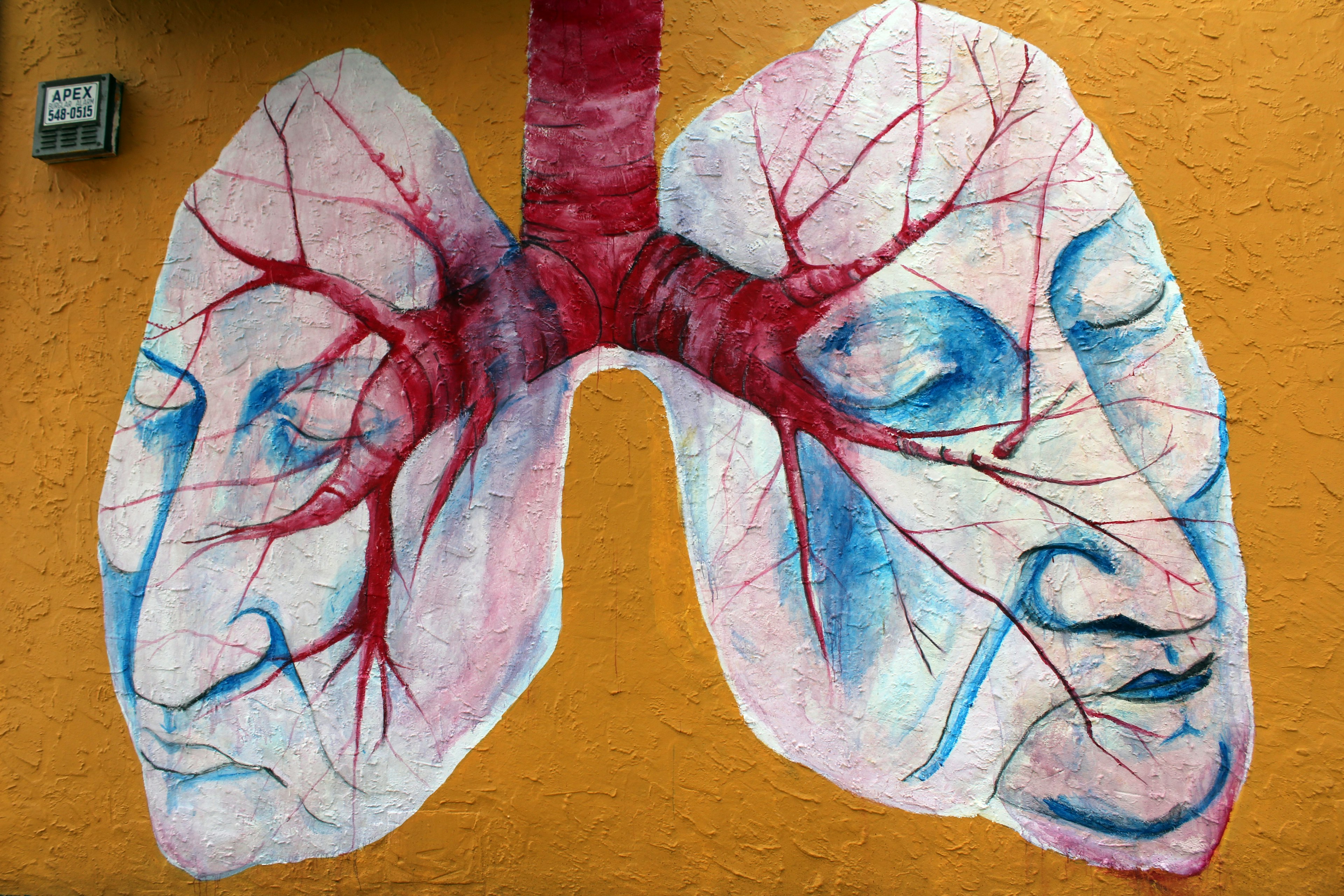 artistic depiction of a pair of lungs painted on a yellow wall