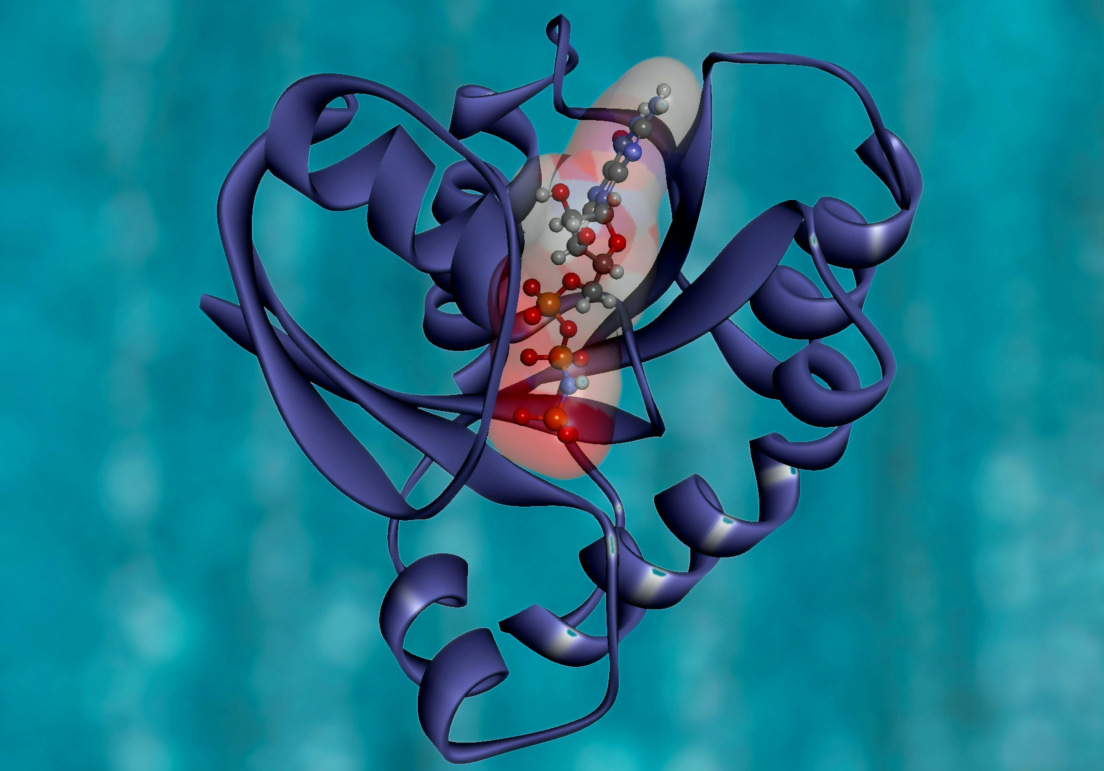 a diagram of a folded protein against a blue background