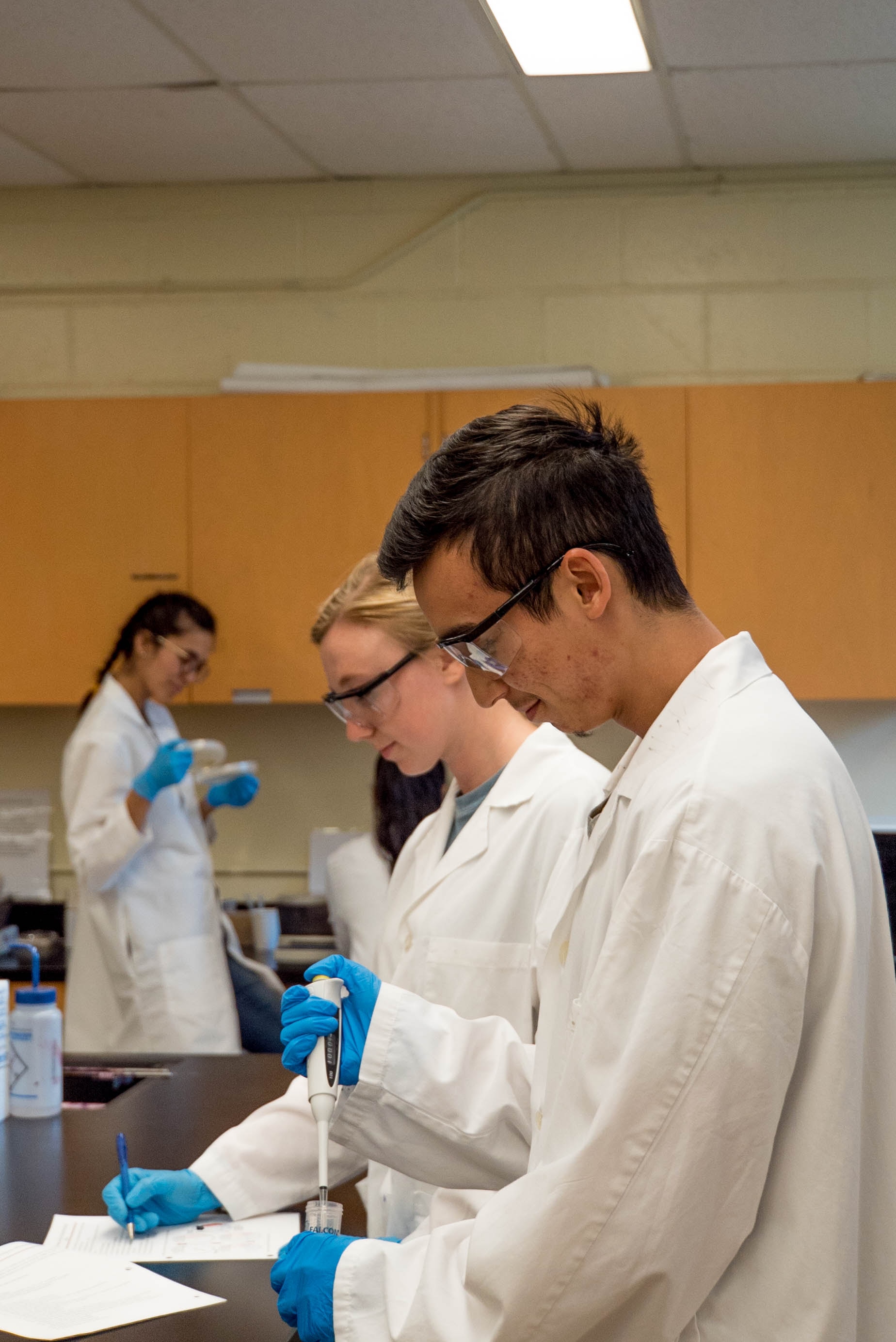 scientist doing science lab coat gloves beaker data