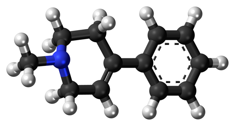 model of MPTP showing the molecule's arrangement 