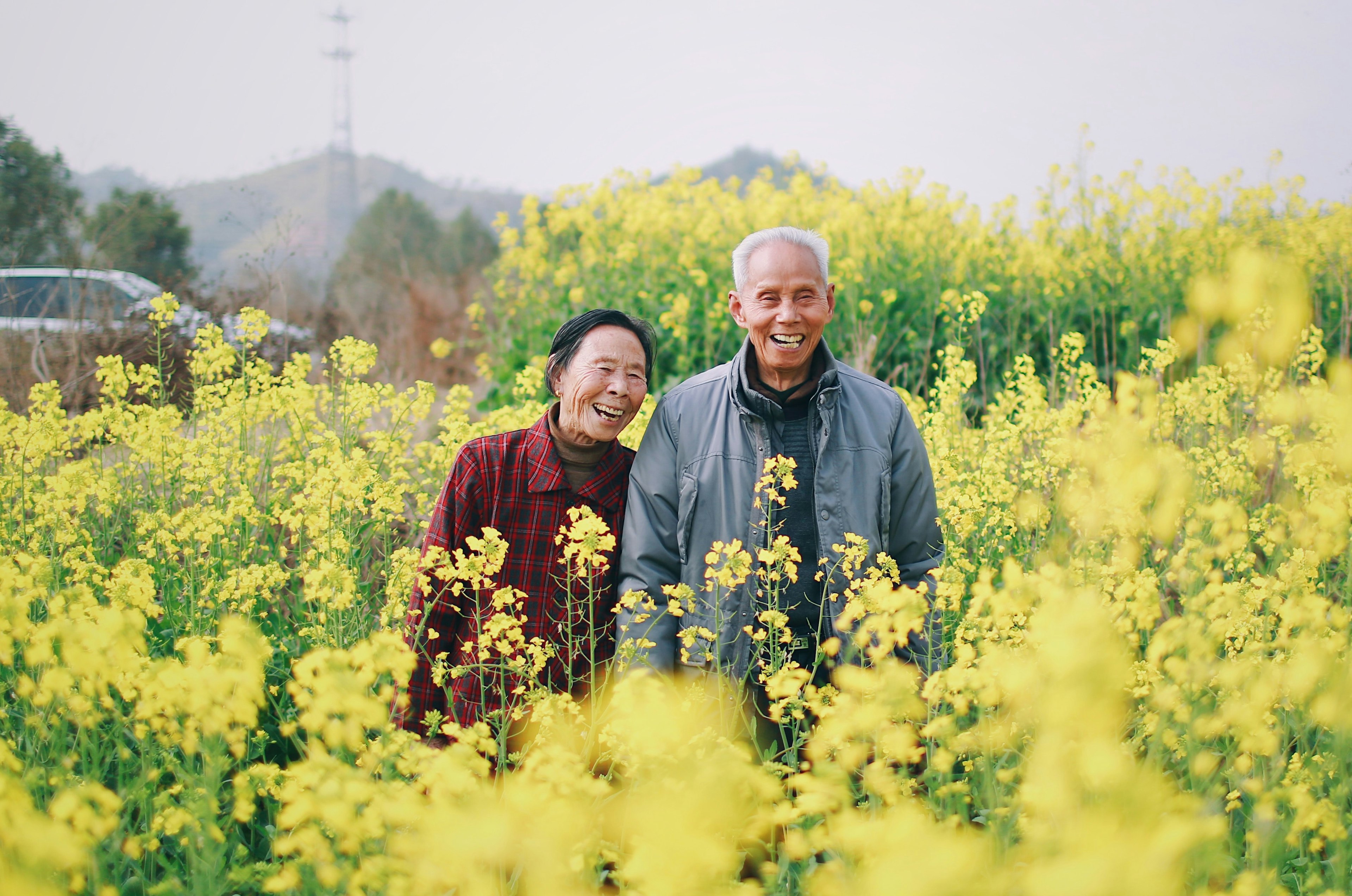 an older couple smiling and standing in a field of yellow flowers