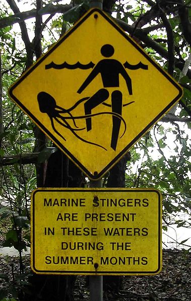 sign about jellyfish stings