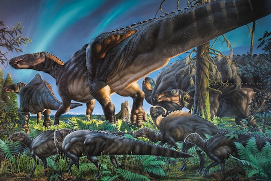 Ugrunaaluk kuukpikensis, a type of hadrosaur, a duck-billed dinosaur.