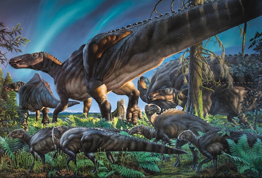 Ugrunaaluk kuukpikensis, a type of hadrosaur, a duck-billed dinosaur.