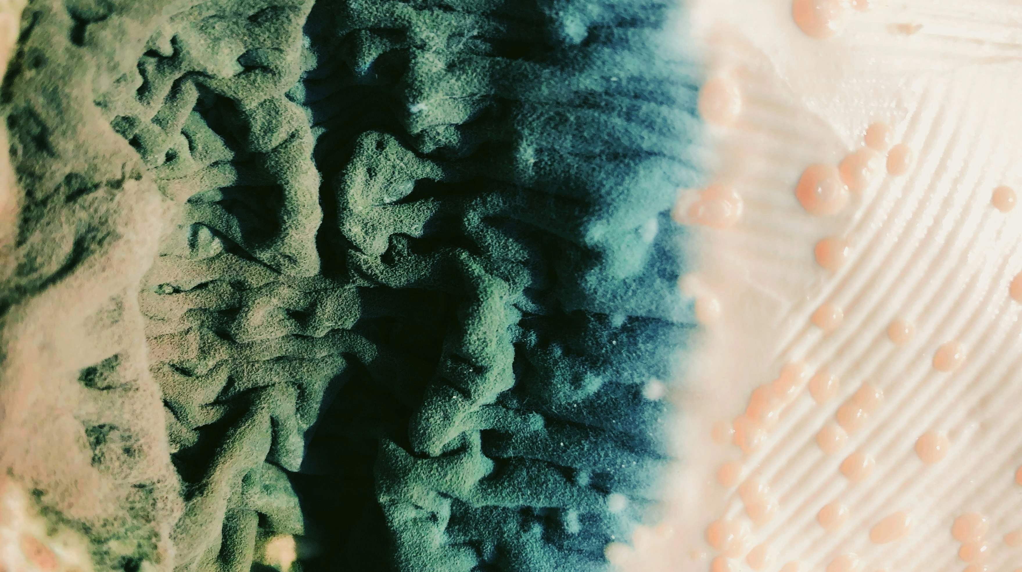 a "landscape" of green and blue folds and tan bubbles