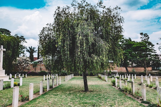 a cemetery with a large tree in the middle