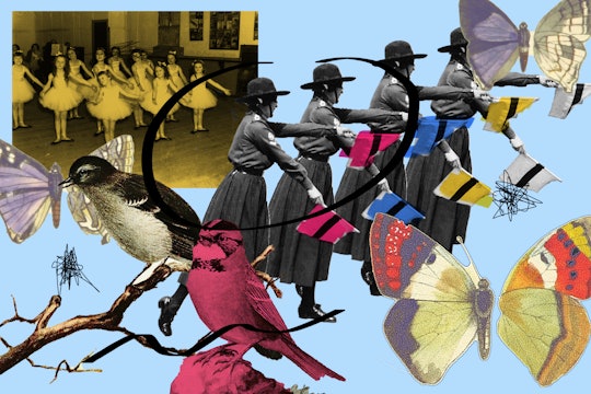 A photo collage combining butterflies, mockingbirds, and semaphore signaling