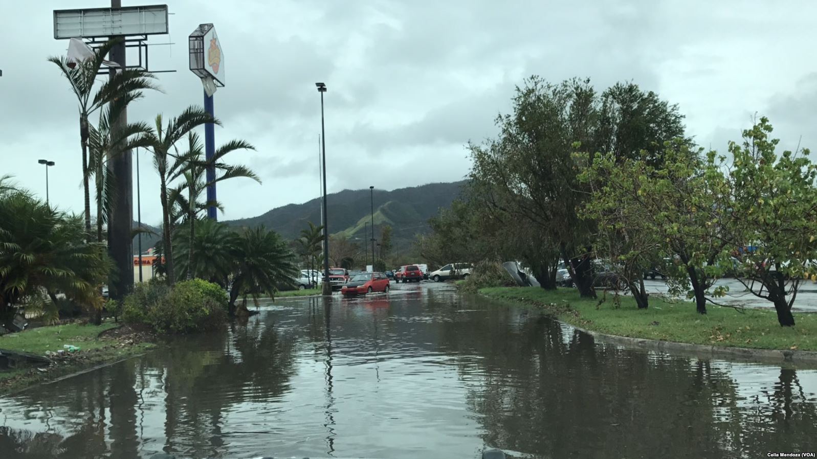 Standing water in Ponce, Puerto Rico after Hurricane Maria