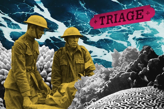 archival photo with triage sign and people
